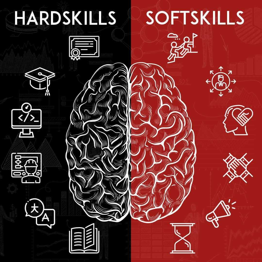 Read more about the article Hardskills e softskills: o que são?
